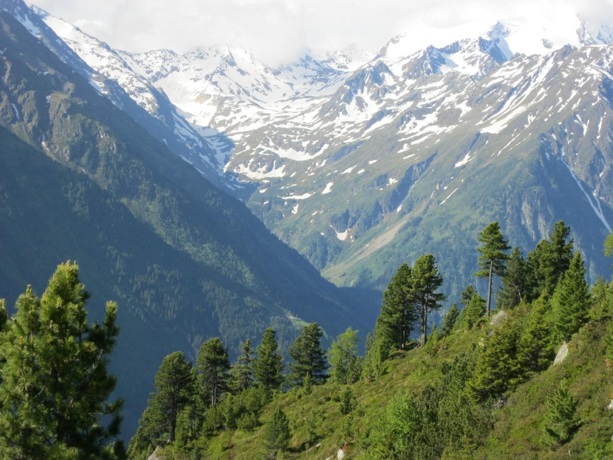 Ferienhaus Stubai Neustift im Stubaital Eksteriør billede